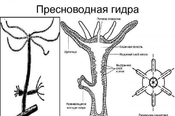 Как открыть кракен