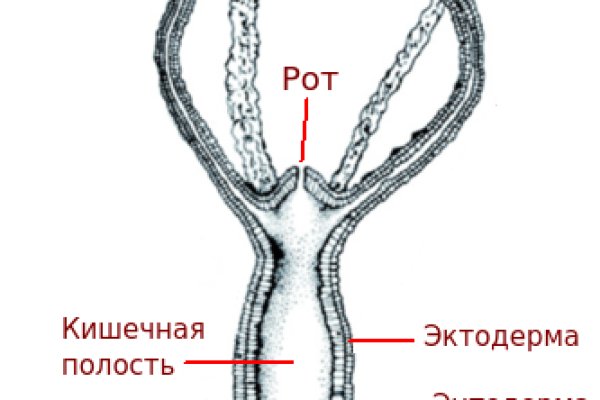 Кракен ссылка настоящая