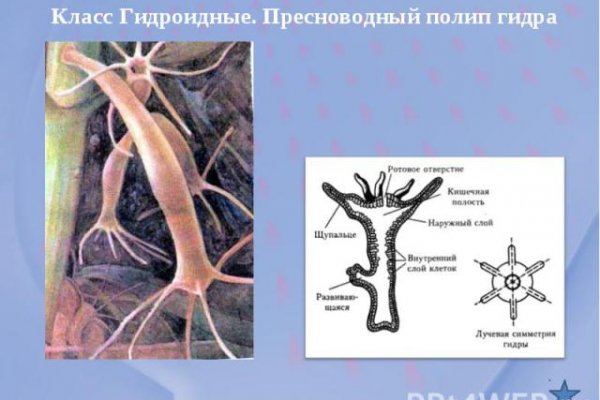 Ссылка на кракен в тор на сегодня